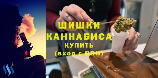 прущие грибы Куйбышев
