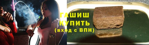 прущие грибы Куйбышев