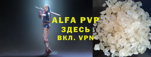 прущие грибы Куйбышев