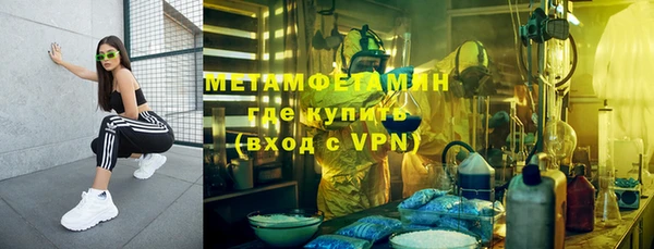 прущие грибы Куйбышев