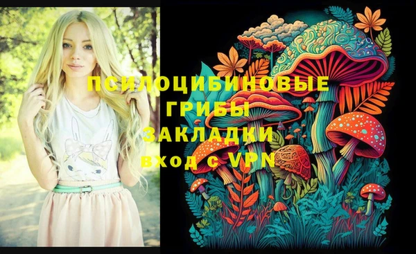 прущая мука Кулебаки