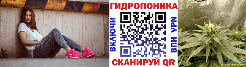 blacksprut ССЫЛКА  Ленинск  Каннабис OG Kush 